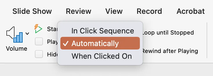Video option automatic video playback
