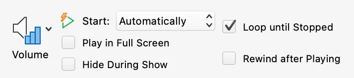 All video customization options in PowerPoint presentation