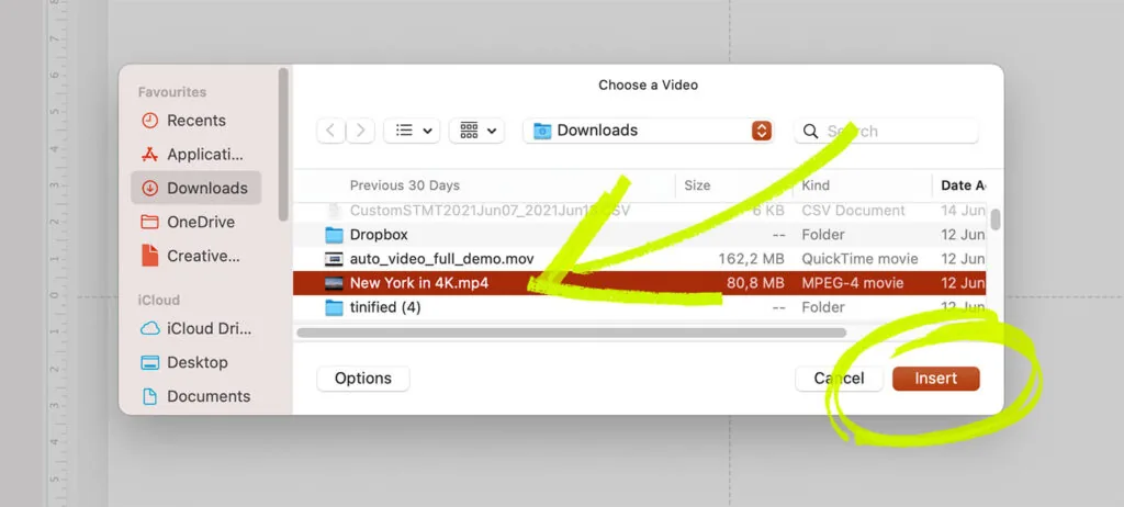 choose-video-file