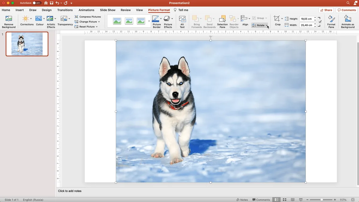 07-Mirror-an-Image-in-PowerPoint