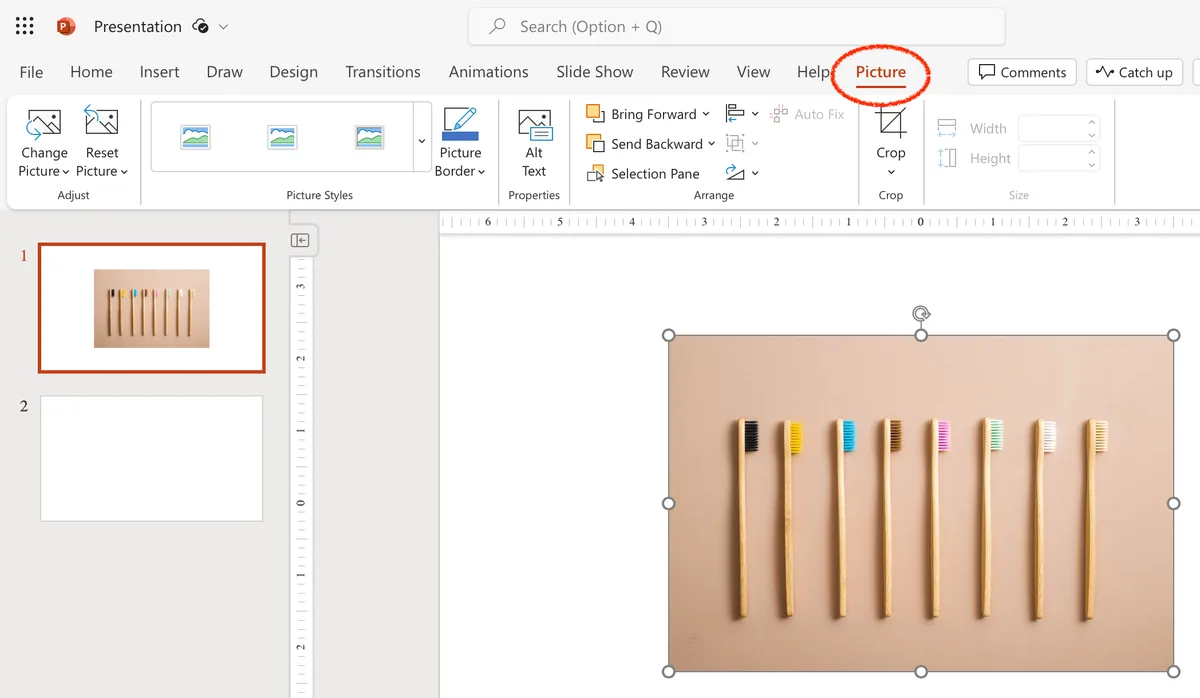 edit illustration or photo with powerpoint tools