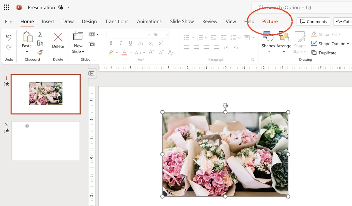 picture setup options