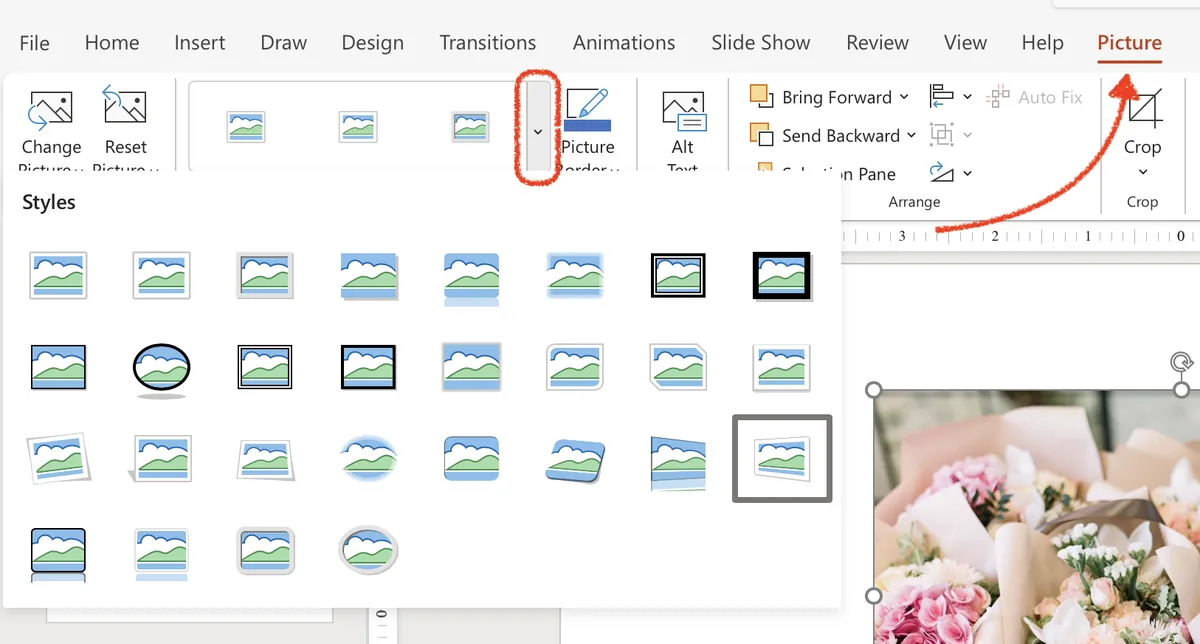 3d effects and styles for pictures