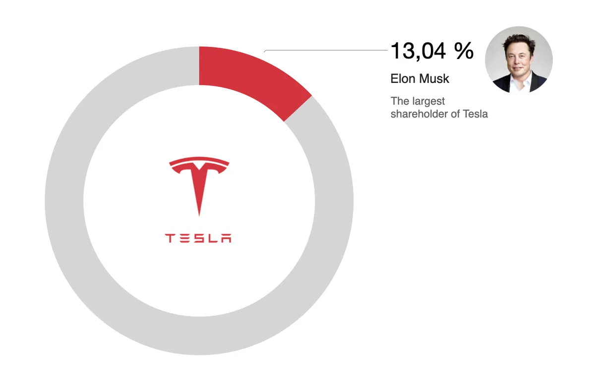 who owns tesla elon mask