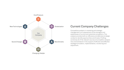 Current Company Challenges