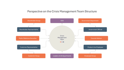 Perspective on the Crisis Management Team Structure