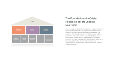 The Foundation of a Crisis Possible Factors Leading to a Crisis