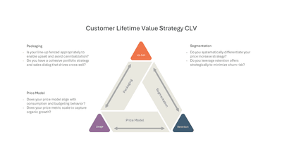 Customer Lifetime Value Strategy CLV