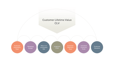 Customer Lifetime Value CLV