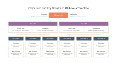 Objectives and Key Results OKR Levels
