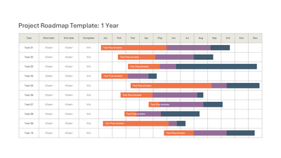 Project Roadmap Template 1 Year