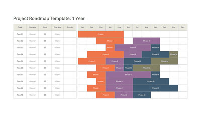 Project Roadmap Template 1 Year