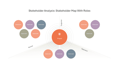 Stakeholder Analysis Stakeholder Map With Roles