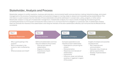 Stakeholder, Analysis and Process