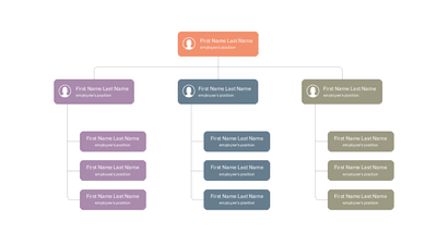 Startup Team Structure Org Chart Template