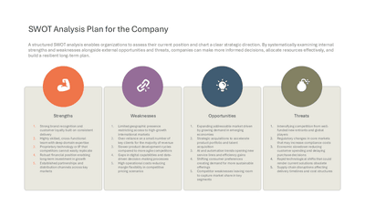 SWOT Analysis Plan for the Company
